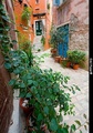 Rovinj stari g&hellip;