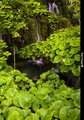 Plitvice.. sak&hellip;