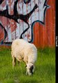 Neki novi foto&hellip;
