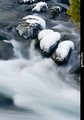 Tri stražara..&hellip;