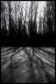 Sand Shadows .&hellip;