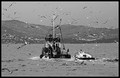 Crno bijeli do&hellip;
