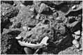 Antropologicus&hellip;