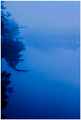 Foggy Mornin&#&hellip;