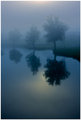 Foggy Mornin&#&hellip;
