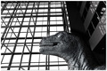 Jurrasic World&hellip;
