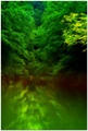 Zeleni zagrlja&hellip;