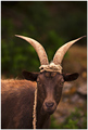 Portret umjetn&hellip;