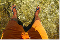 Tocanje fotogr&hellip;