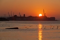 24.02.2012. So&hellip;