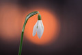 04.03.2012. Je&hellip;
