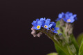 27.03.2012. Pl&hellip;