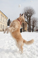 05.02.2012. Sa&hellip;