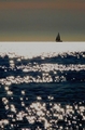 Radost je sol.&hellip;