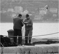 Ribar plete mr&hellip;