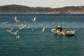 ribar i galebo&hellip;