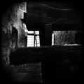 Holga Camera F&hellip;