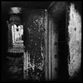 Holga Camera F&hellip;