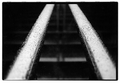 Rails