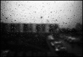 Rains