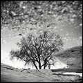 ReReflection