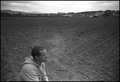 Fields of Pože&hellip;