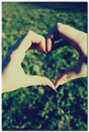 love is all we&hellip;