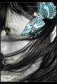 butterfly in m&hellip;