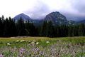 durmitor na pr&hellip;