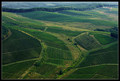 Jutro u vinogr&hellip;
