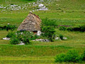 Zemlja Humska V