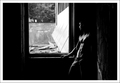 By  The Window&hellip;