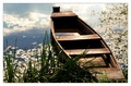 Riverboat from&hellip;