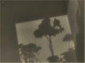cm_20 ku(l)tna&hellip;