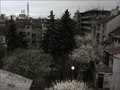 proljetni priv&hellip;