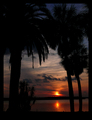 Romantic morni&hellip;