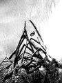 Ljubav presadj&hellip;