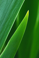 Potezi kistom &hellip;