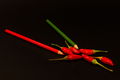 Red Hot Chili &hellip;