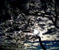 Sun swallowed &hellip;