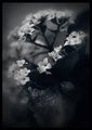 Experiment