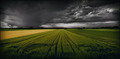 Dubrovcak Storm