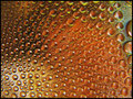 Orange explosi&hellip;