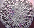 microscopic bu&hellip;