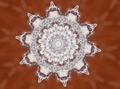 Microscopic sn&hellip;