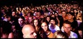 10000 faces, n&hellip;