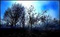 jutro u vrtu d&hellip;