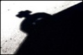 shadow of the &hellip;