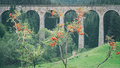 Chmarošský via&hellip;