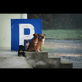 Prva parkirna &hellip;